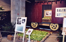 Le wagon de laitues de Salinas