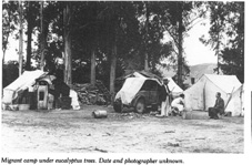 Campement Hooverville D LANGE